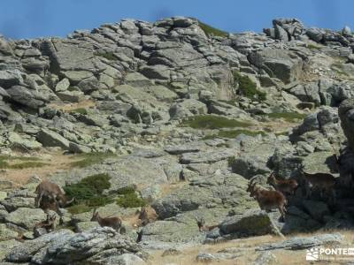 Circo Cerradillas-Loma Noruego; excursiones para jubilados ropa impermeable montaña orientacion bru